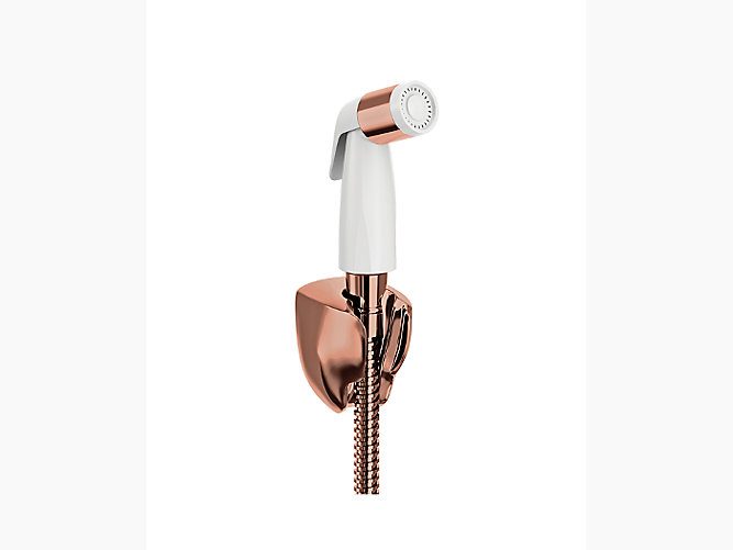 Complementary Basic Health Faucet With Metal Hose And Holder K